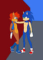 Sonic meets Male Sally