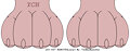 Free YCH footpaws coloring