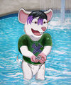 Coins In The Fountain