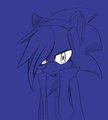 Marc Hedgehog