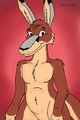Rufus Roo by stanellio