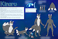 Kinaru 2024 reference sheet by norvilion