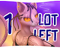 1 Slot left!