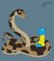 Friendship of Buggy and Kodum
