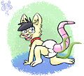 Messy opossum
