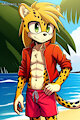 Beach Bois (Ai)