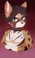 Duffy the civet