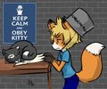 Stupid cat......