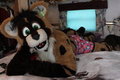 Duffy teh civet by Duffy