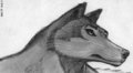 Greyscale 005