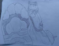 Riolu inshoe xray