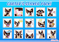 Sticker Pack - Carter