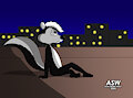 Pepe at night