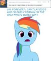 Forever Dash and Scoots, Question 1