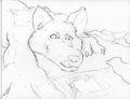 Sketch 087