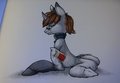 Copic Test