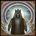 Wolf In Golden Light