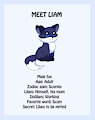 Meet Liam