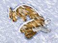 Shivers (socks) by Tsukuyomibloom