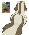 badger booty