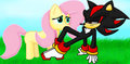 Shadow and Fluttershy
