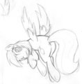 Leaf Flank
