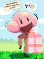 Controller correction (Kirby TF) by Dustyerror