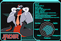 Dossier: Jadir