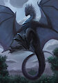 Wyvern's Majesty by Cheetahs
