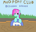 Mud pony club discord server