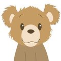 Odyssey Of A Bear