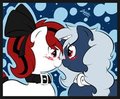 Squish v2