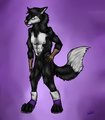 Darth the Fox by Cooro