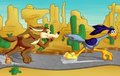 Road runners are not cute but coyotes are. by Neenya