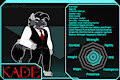 Dossier: Kade by Darkwitt