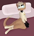 Suggestive Benji by ImpButt