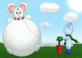 beacaloon inflated