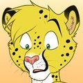 Ooops, there it goes! By Zerwolf