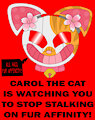 Carol the Cat is Watching You