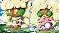 Big Whimsicott Duo: Doudou and Mimsy!