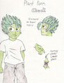 Chuck plant form