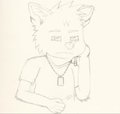 Testing