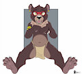 Shasta the Little Bear Cub