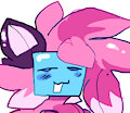 pooltoy skeppy kat