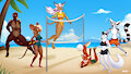 Beach Volleyball Match [COM-24098]