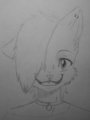 Happy kitty by YoruSnow