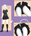 Marta the cat