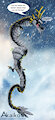 Neidra Wins by Akaikosh