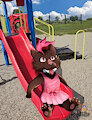 Day at the park