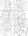 discussion